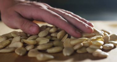 eller genç Şef yavaşça aşırı ağır çekimde çam fıstığı tahta arka plan ile bir ahşap kesme tahtası üzerinde küçük bir grup dinlenme. 