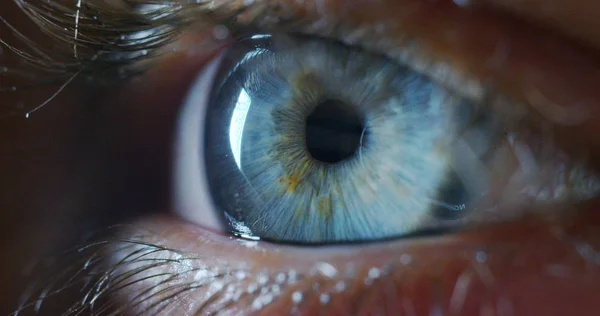 Perfeito olho azul macro em um ambiente estéril e visão perfeita na resolução 6k, conceito, a visão do futuro e conceito de vida saudável. ver preciso e direto para o alvo . — Fotografia de Stock