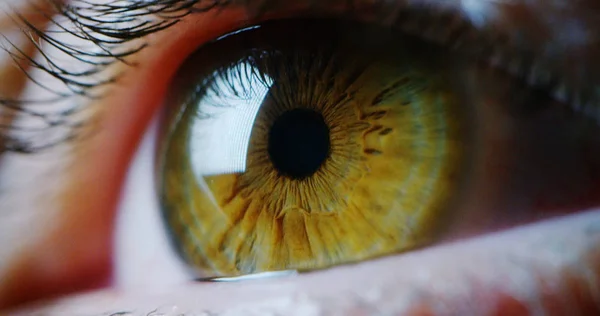 Macro olho verde perfeito em um ambiente estéril e visão perfeita em resolução — Fotografia de Stock