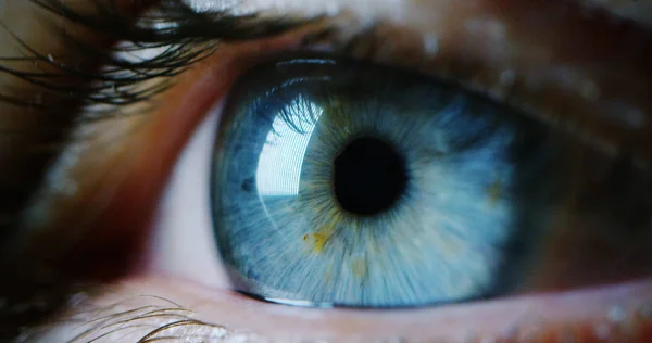 Macro oeil bleu parfait dans un environnement stérile et vision parfaite dans la résolution 6k, concept, la vision de l'avenir et concept de vie saine. vue précise et directe vers la cible . — Photo
