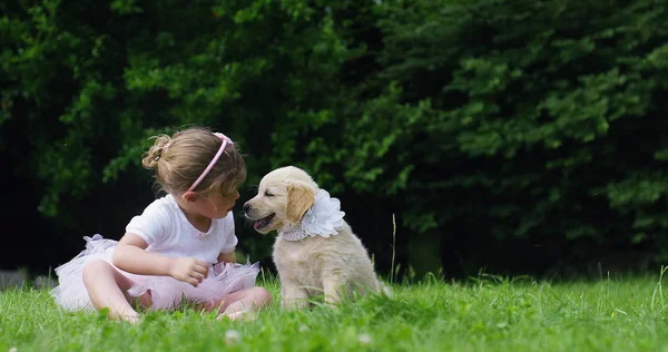 Una niña pequeña vestida como una pequeña bailarina besando a su pequeño amigo cachorro perro golden retriever sentado en un césped y concepto de felicidad de amistad, amistad entre perros y humanos. conexión —  Fotos de Stock