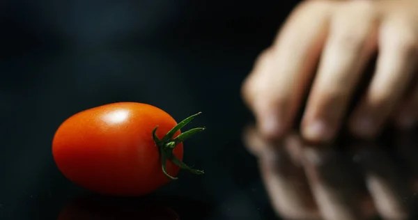 La main d'une exposition paysanne de tomates rouges italiennes vient d'être cueillie dans sa terre. Les tomates biologiques sont authentiques et cultivées par les soins des agriculteurs. Concept : italien, agriculture, tomate, nature — Photo