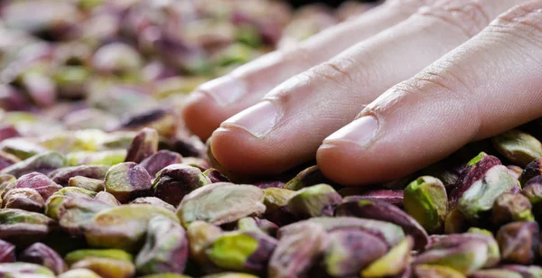 Man touches colorful cleaned pistachio, green, purple, yellow. Concept: salted, nuts, seeds, delicious, healthy, growing on the "tree of life", fresh product, growing in Central Asia, proper nutrition — Stock Photo, Image