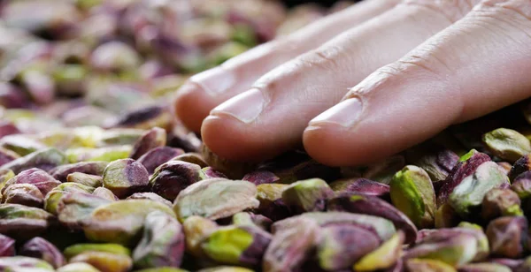 Man touches colorful cleaned pistachio, green, purple, yellow. Concept: salted, nuts, seeds, delicious, healthy, growing on the "tree of life", fresh product, growing in Central Asia, proper nutrition — Stock Photo, Image
