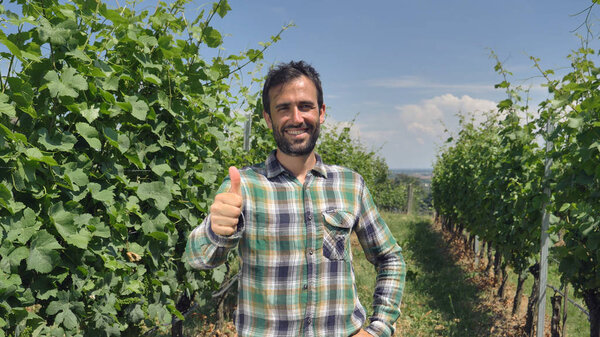 The farmer's portrait relaxes into the camera, looks and checks the grape fields, the background of greenery Concept ecology, wine, bio product, testing, water, natural products, professional, farmers