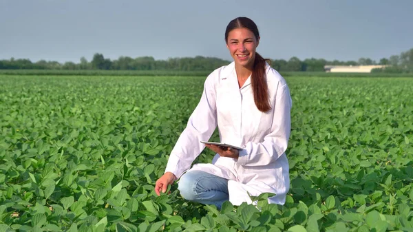 Seorang spesialis tanaman, memeriksa kedelai lapangan, dalam mantel putih membuat analisis tes dalam tablet, latar belakang hijau. Konsep ekologi, produk bio, inspeksi, air, produk alami, profesional — Stok Foto
