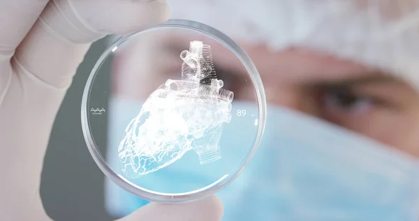 Хірург, дивиться на технологічну цифрову голографічну пластину — стокове фото