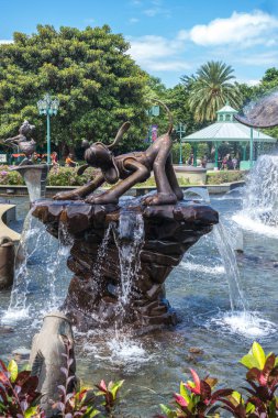 Disney arazi çeşme 