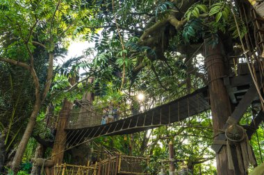 Disneyland Tarzan'ın treehouse