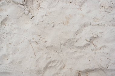 kumlu plaj arka plan