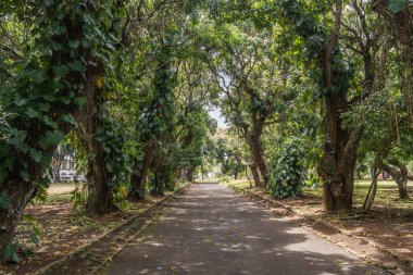 Pamplemousses Botanik Bahçe Sokak