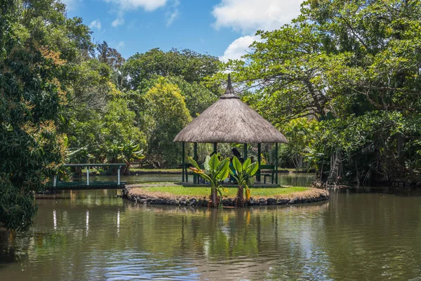 Botanischer Garten der Pamplemousses — Stockfoto