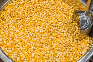 Mısır arka plan bakış