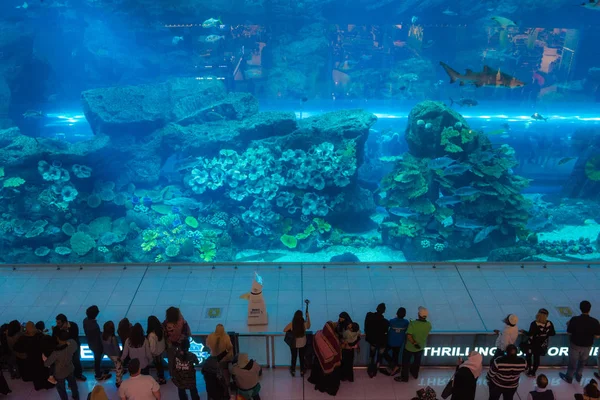 Akvárium v Dubai Mall, Spojené arabské emiráty — Stock fotografie