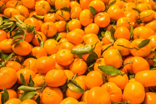 Primer plano de mandarinas frescas —  Fotos de Stock