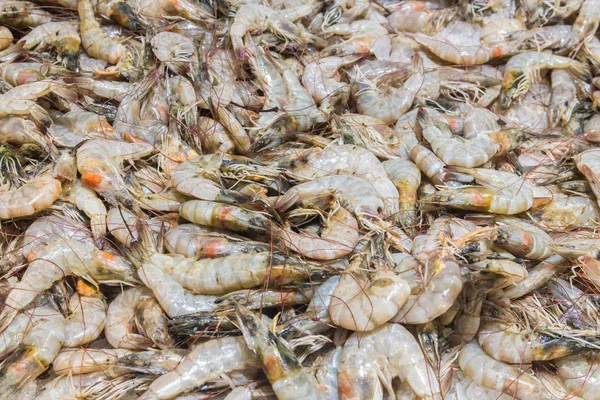 Shrimps closeup view — Stock Photo, Image