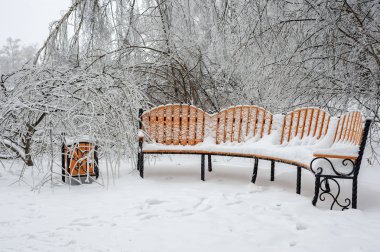 Kış parkında bankta