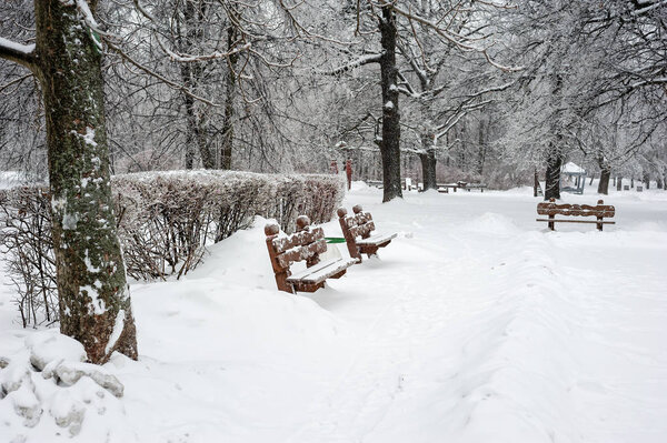 Benches in winter park view