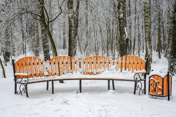 Banco en el parque de invierno — Foto de Stock