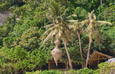 Plaja yakın ormanda güzel ev