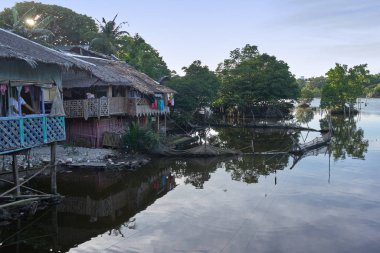 Göl mangrov ağaçlarıyla Boracay Adası, Filipinler