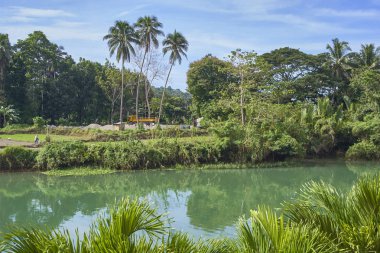 Güzel doğal nehir tropikal peyzaj üzerinde