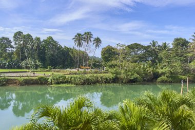 Güzel doğal nehir tropikal peyzaj üzerinde