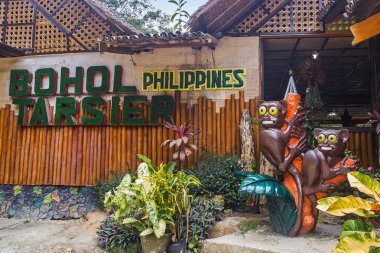BOHOL, PHILIPPINES - NOVEMBER 25, 2017: Tarsier eco park