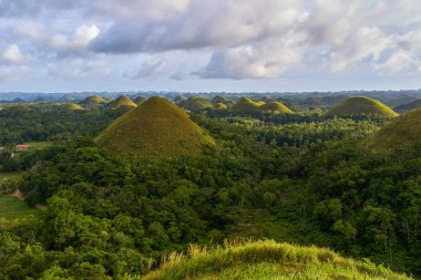 Ünlü Çikolata Hills görünümü, Bohol Adası, Filipinler