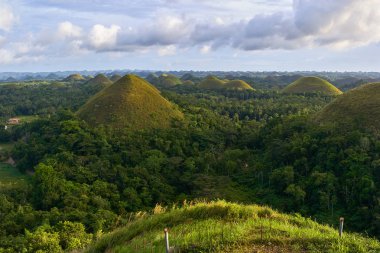 Ünlü Çikolata Hills görünümü, Bohol Adası, Filipinler