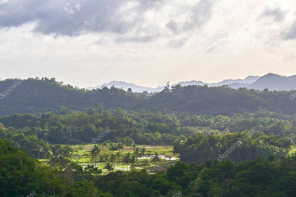 Aerial view of tripical forest, Bohol Island, Philippines