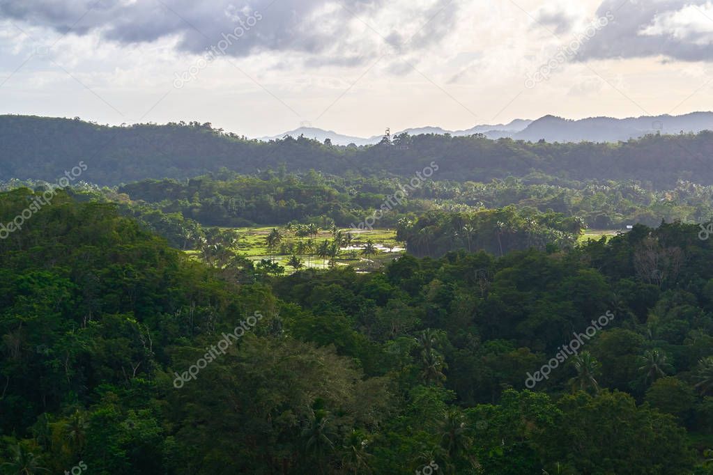 Aerial view of tripical forest, Bohol Island, Philippines