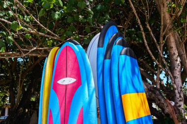 Sahilde duran sörf tahtaları