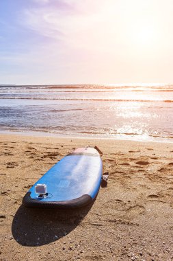 plajda sörf tahtası