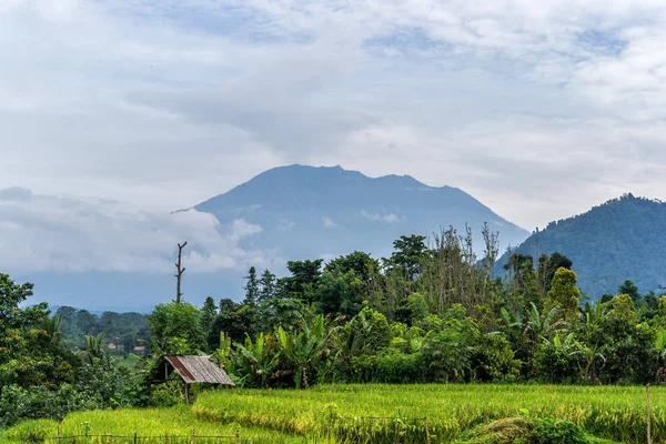 Vista da erupção do vulcão Agung perto de campos de arroz, Bali, Indonésia — Fotografia de Stock