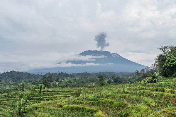 Zobacz erupcji wulkanu Agung w pobliżu pól ryżowych, Bali, Indonezja — Zdjęcie stockowe