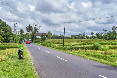 Bali, Endonezya doğal yol