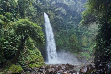 Güzel Nungnung şelale Bali, Endonezya