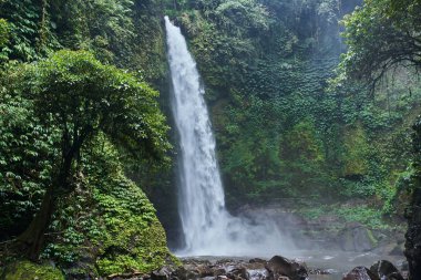 Güzel Nungnung şelale Bali, Endonezya
