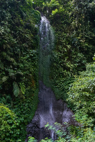 Vízesés mély a dzsungelben — Stock Fotó