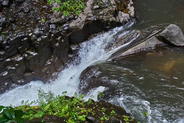 Řeka v lese džungle — Stock fotografie