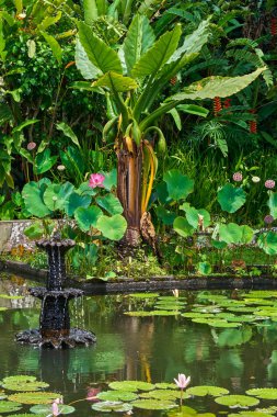 Bali Adası, Hint Tirta Gangga su sarayında güzel park