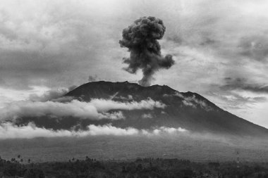 Pirinç tarlaları, Bali, Endonezya yakınındaki Agung volkan Erüpsiyonu görünümü