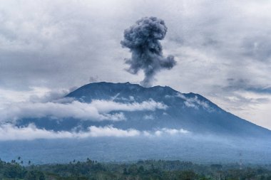 Pirinç tarlaları, Bali, Endonezya yakınındaki Agung volkan Erüpsiyonu görünümü