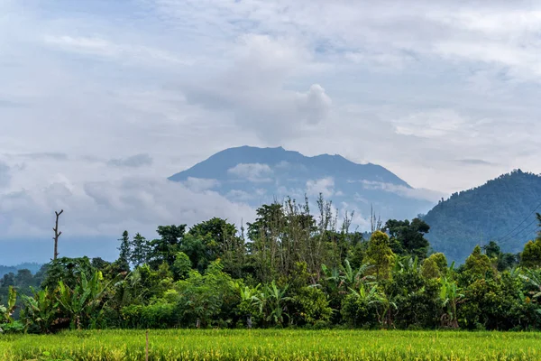 Zobacz erupcji wulkanu Agung w pobliżu pól ryżowych, Bali, Indonezja — Zdjęcie stockowe