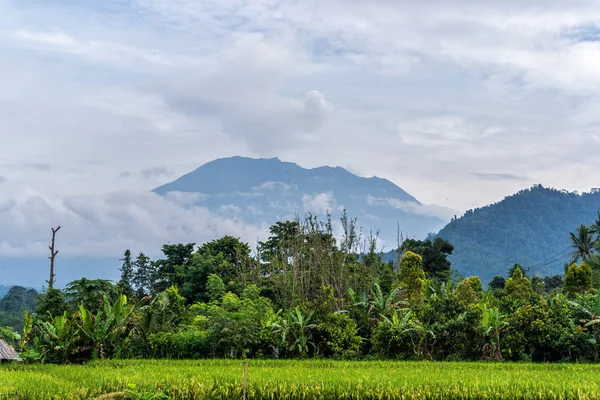 Zobacz erupcji wulkanu Agung w pobliżu pól ryżowych, Bali, Indonezja — Zdjęcie stockowe