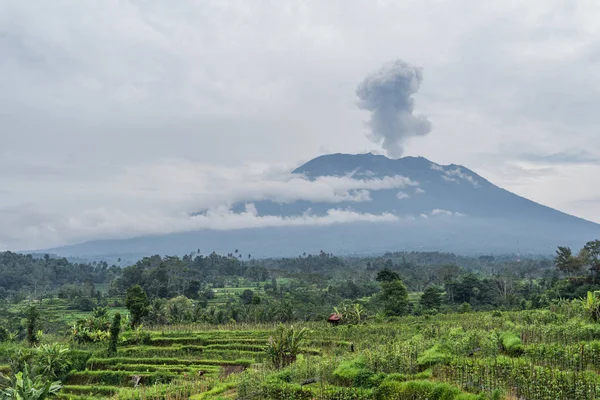 Zobacz erupcji wulkanu Agung w pobliżu pól ryżowych, Bali, Indonezja — Zdjęcie stockowe