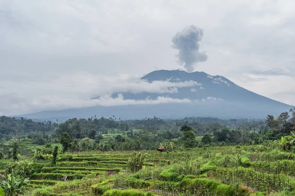 Agung Vulkán kitörés nézet közelében rizsföldek, Bali, Indonézia — Stock Fotó