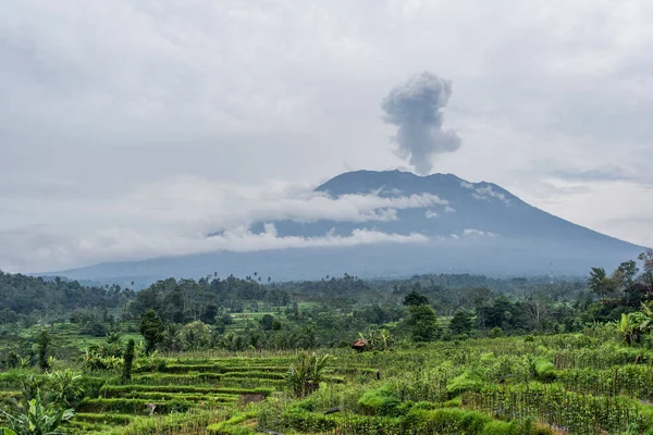 Zobacz erupcji wulkanu Agung w pobliżu pól ryżowych, Bali, Indonezja — Zdjęcie stockowe