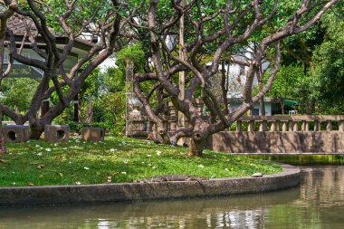 Suan Saranrom Park Bangkok, Tayland
